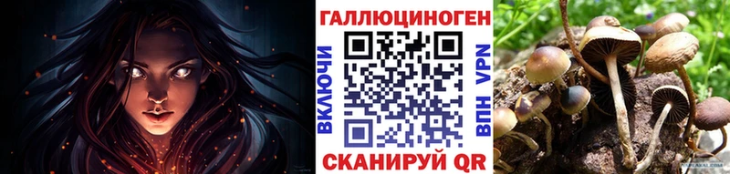 Галлюциногенные грибы Psilocybine cubensis  Купить где  Котово 