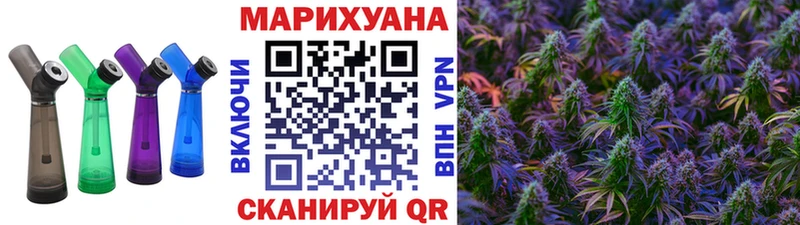 Конопля сатива  Купить  Котово 